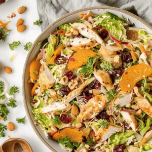 Vibrant Asian Chicken Cranberry Salad Recipe