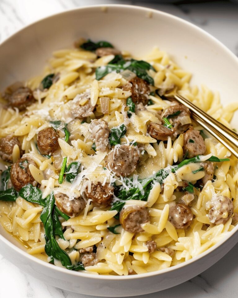 Hearty Italian Sausage Orzo Recipe