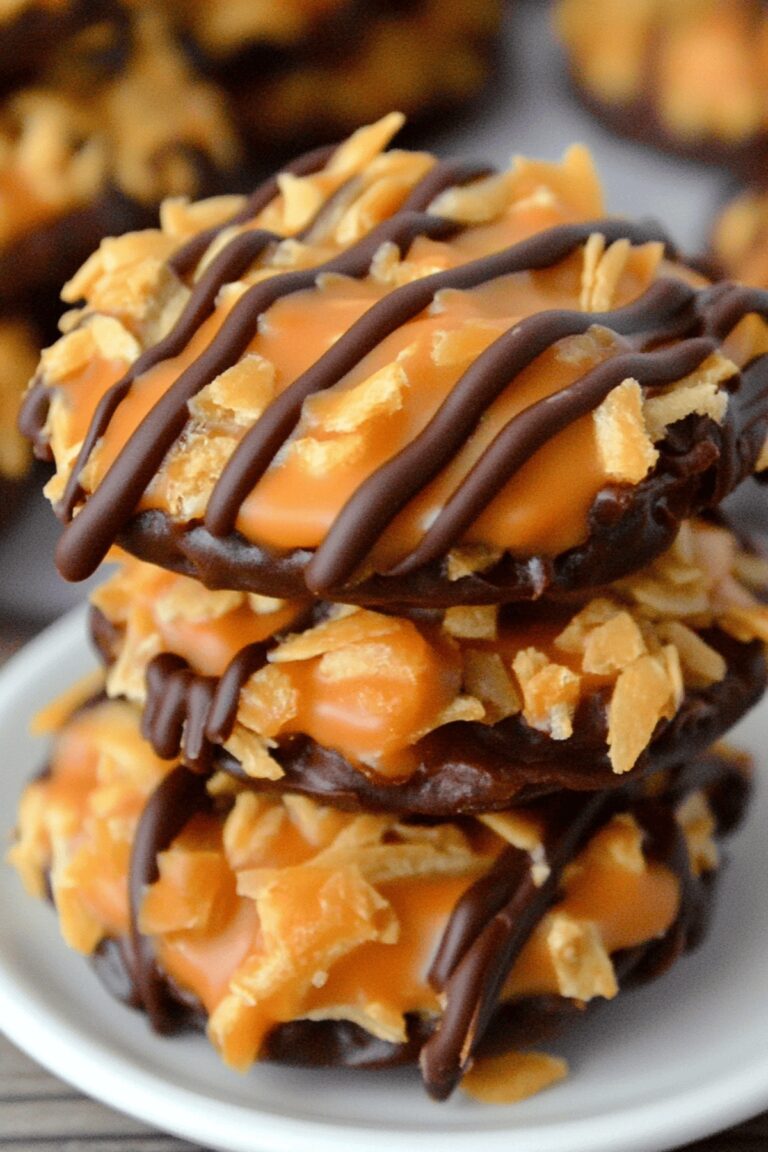 Dreamy No Bake Samoa Cookies Recipe