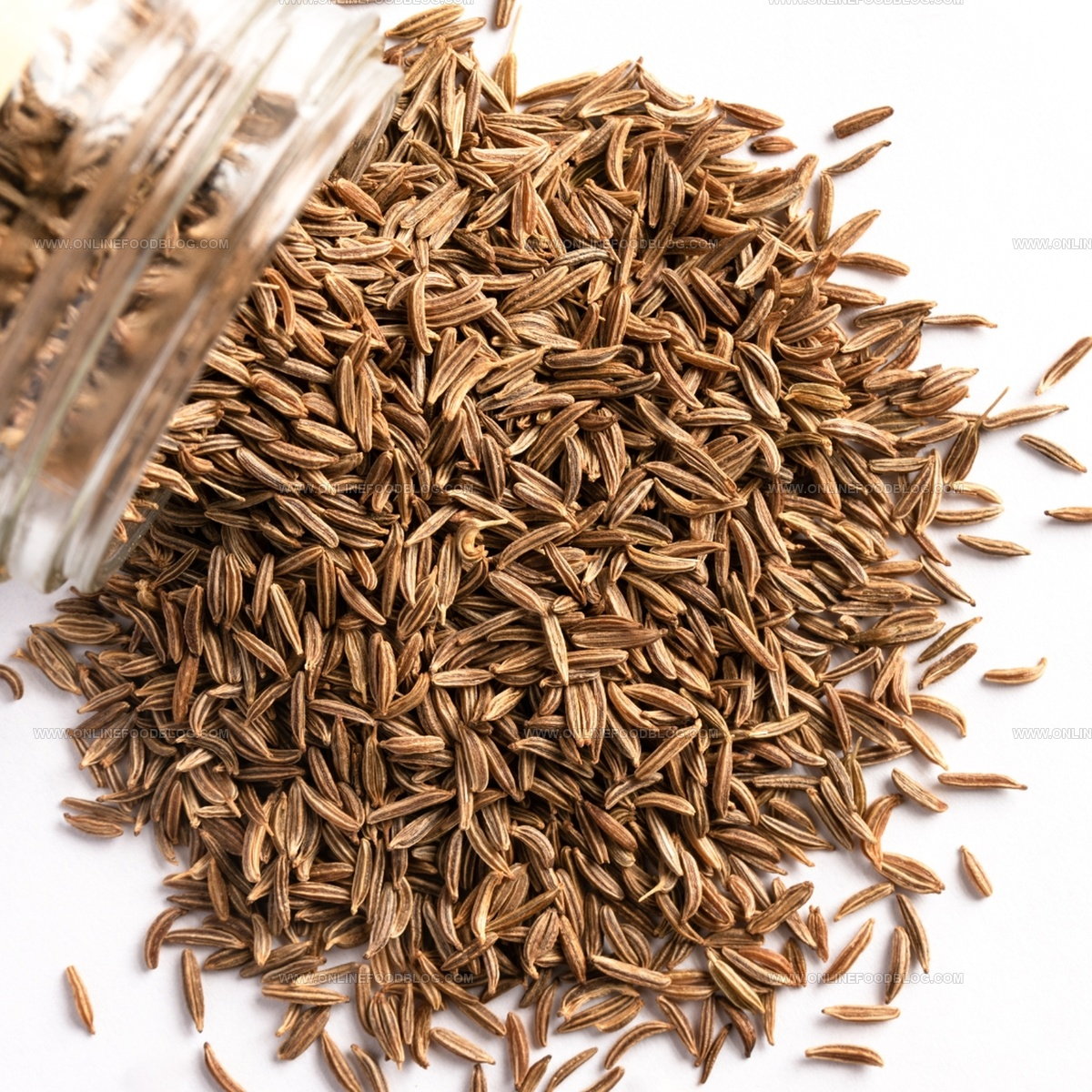 10 Delicious Alternatives to Caraway Seeds You'll Love
