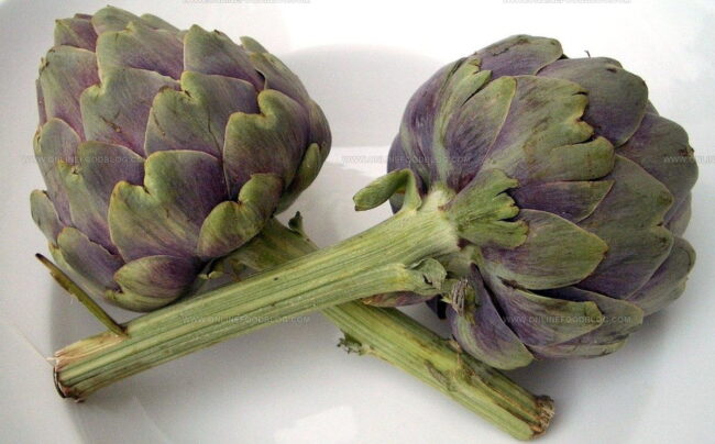 How to Grow Artichokes