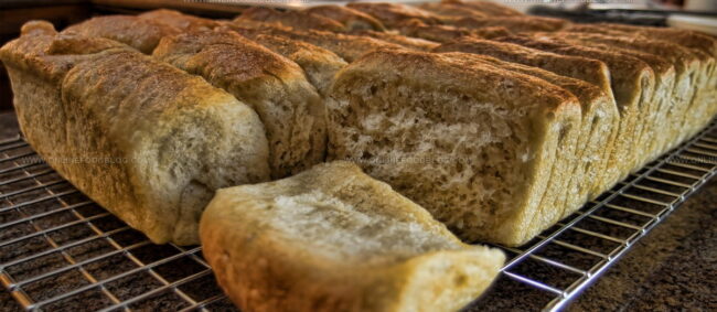 Parker House Roll