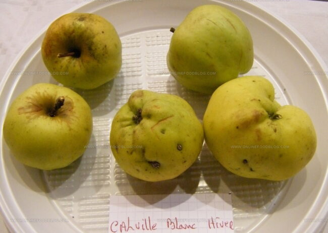 Calville Blanc Apples