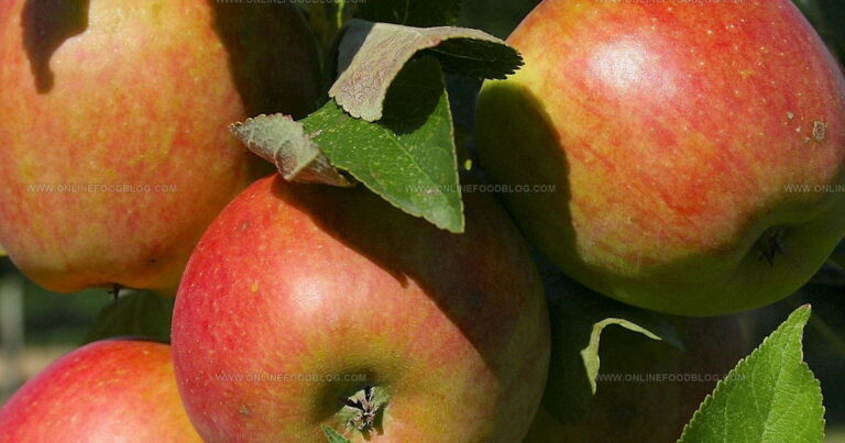 38 Fascinating European Apples You Need to Discover