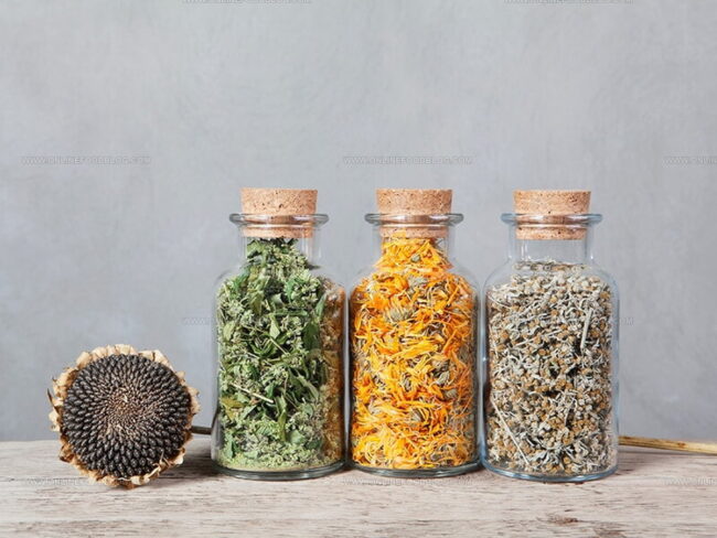 Storing Your Thyme Substitutes Correctly